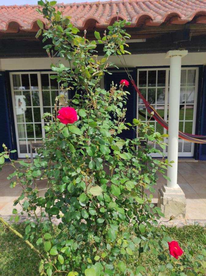 トマール Fazenda Do Maranteホステル エクステリア 写真